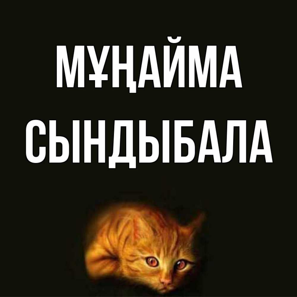 Күн сайын ашық хат с именем, СЫНДЫБАЛА Мұңайма лежащий кот в темноте Онлайн тегін жүктеп алу тілектері бар керемет карта 