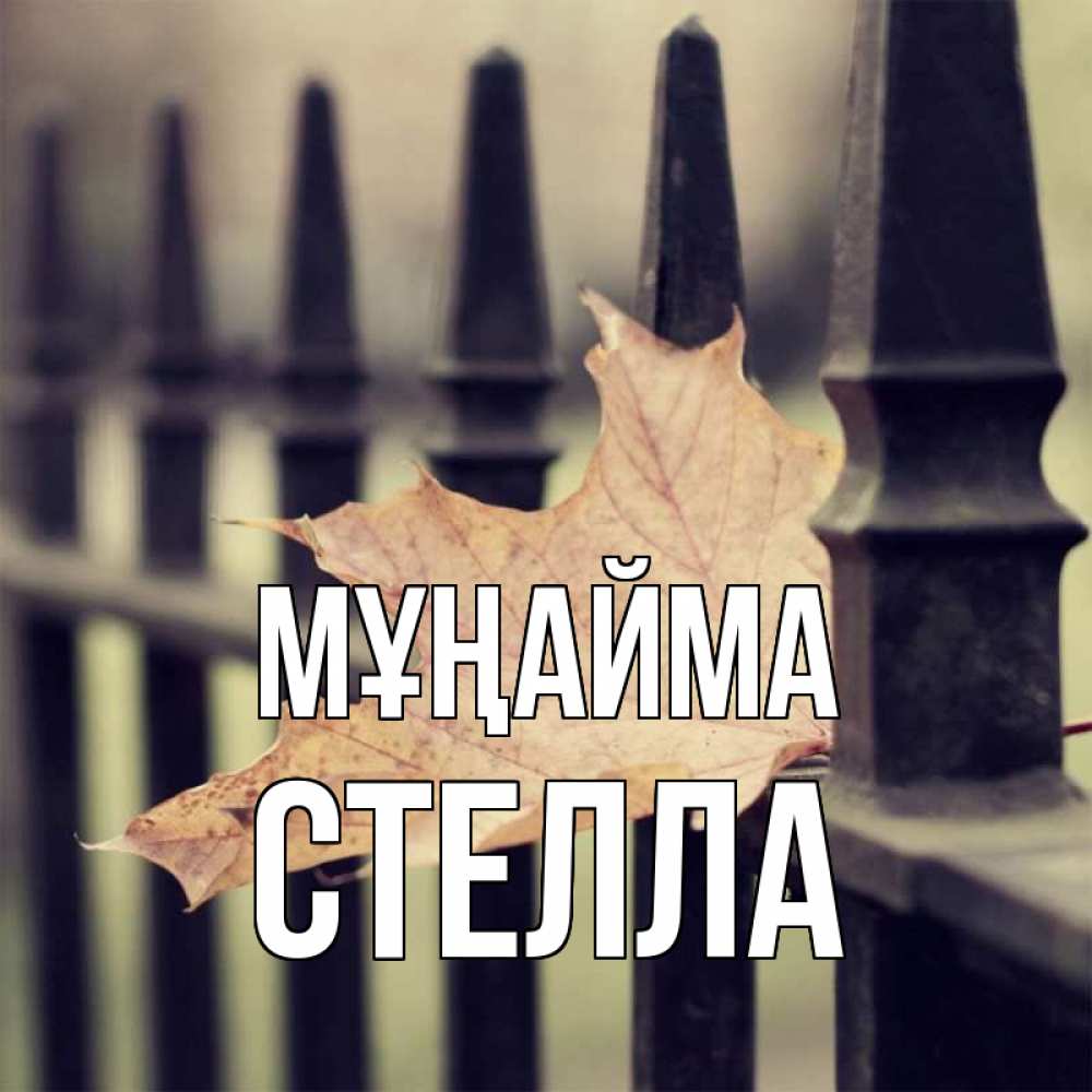 Күн сайын ашық хат с именем, Стелла Мұңайма лист клена Онлайн тегін жүктеп алу тілектері бар керемет карта 