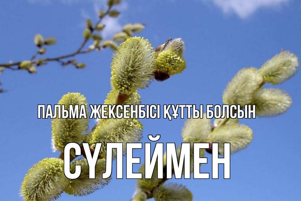 Күн сайын ашық хат с именем, СҮЛЕЙМЕН Пальма жексенбісі құтты болсын верба Онлайн тегін жүктеп алу тілектері бар керемет карта 