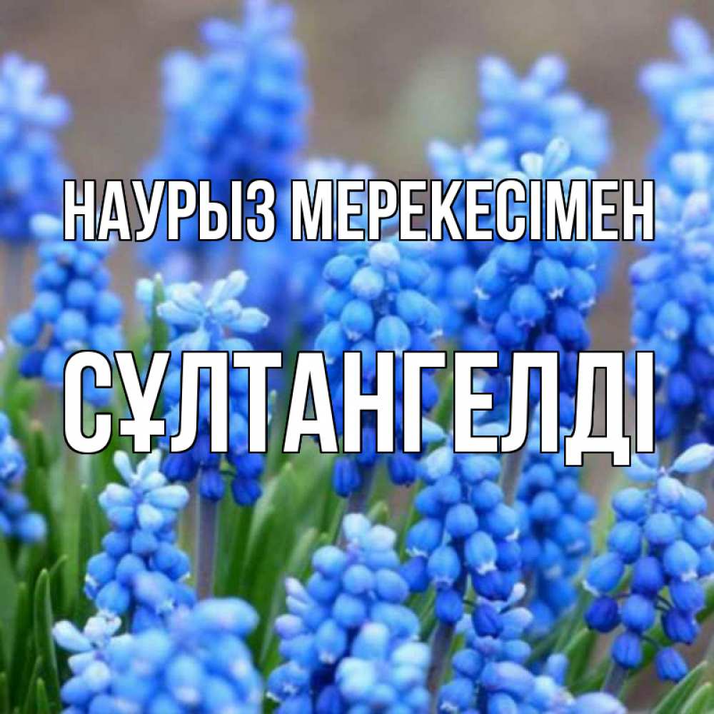 Күн сайын ашық хат с именем, СҰЛТАНГЕЛДІ Наурыз мерекесімен Поздравительная открытка для женщин с цветами на праздничную дату Онлайн тегін жүктеп алу тілектері бар керемет карта 