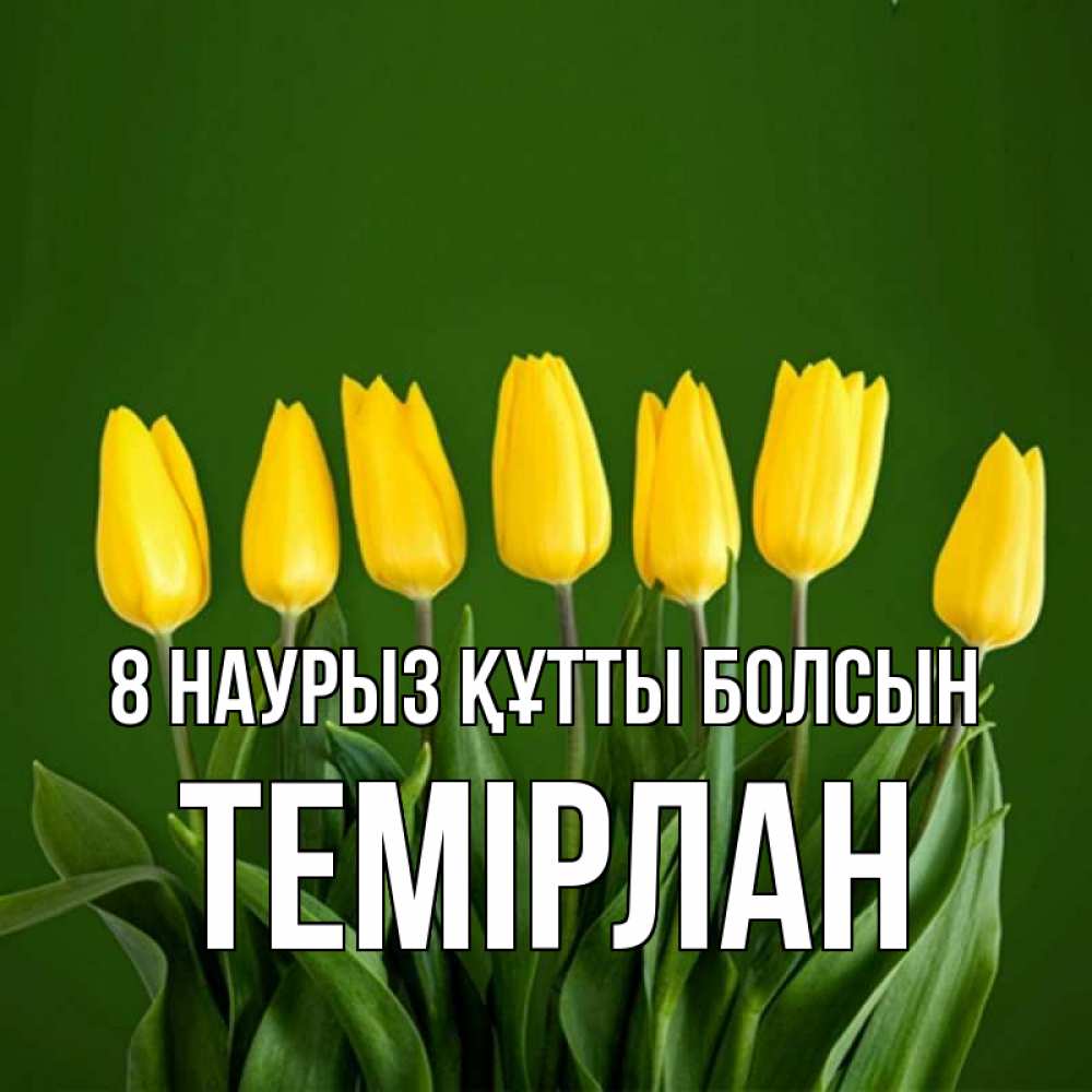 Күн сайын ашық хат с именем, ТЕМІРЛАН 8 наурыз құтты болсын желтого цвета 3 Онлайн тегін жүктеп алу тілектері бар керемет карта 