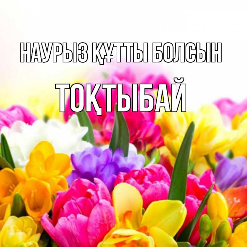 Күн сайын ашық хат с именем, ТОҚТЫБАЙ Наурыз құтты болсын тюльпаны Онлайн тегін жүктеп алу тілектері бар керемет карта 
