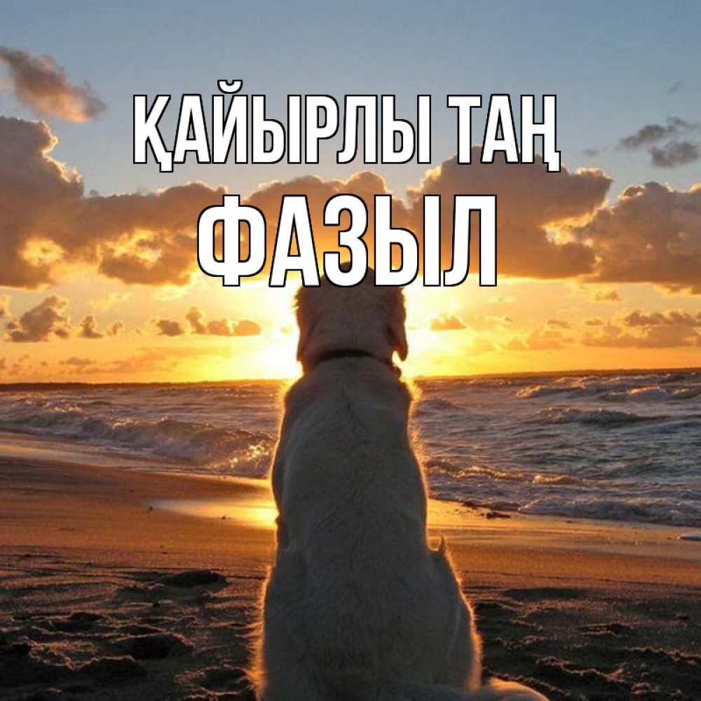 Күн сайын ашық хат с именем, ФАЗЫЛ Қайырлы таң восход солнца Онлайн тегін жүктеп алу тілектері бар керемет карта 