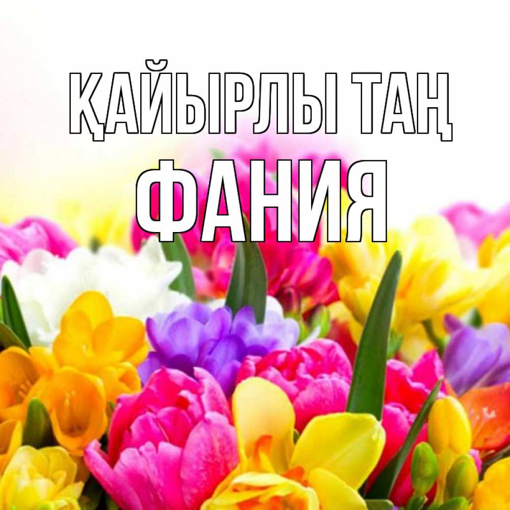 Күн сайын ашық хат с именем, Фания Қайырлы таң создать открытку со свое подписью Онлайн тегін жүктеп алу тілектері бар керемет карта 