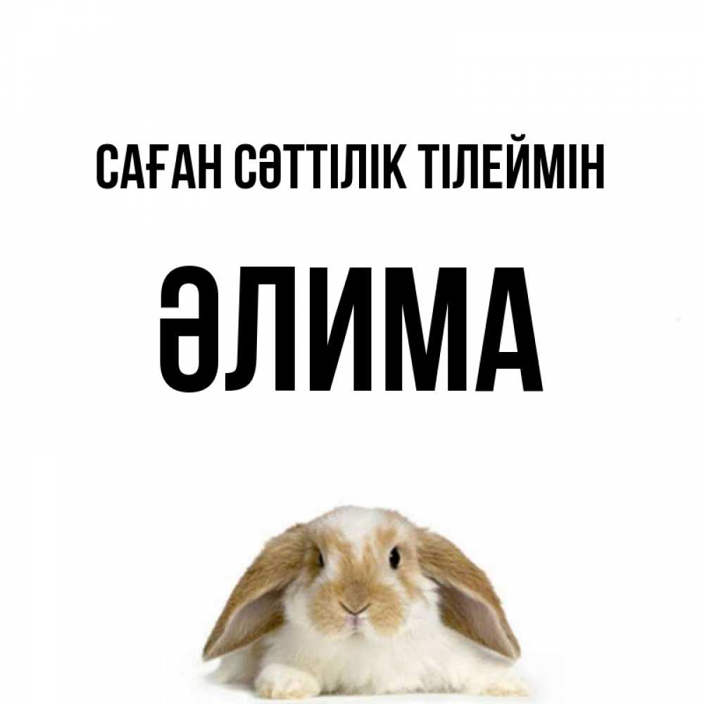 Күн сайын ашық хат с именем, ӘЛИМА Саған сәттілік тілеймін открытки с произвольным текстом который можно вставить в открытку и создать ее самостоятельно бесплатно онлайн Онлайн тегін жүктеп алу тілектері бар керемет карта 