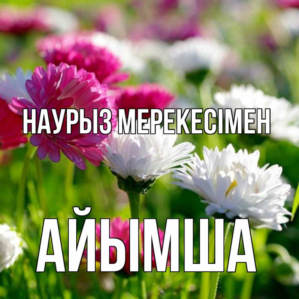 Күн сайын ашық хат с именем, АЙЫМША Наурыз мерекесімен праздник весны наурыз красота Онлайн тегін жүктеп алу тілектері бар керемет карта 