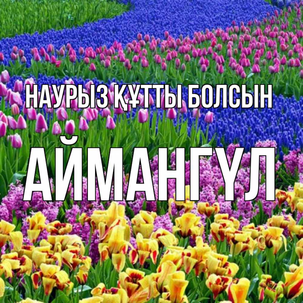 Күн сайын ашық хат с именем, Аймангүл Наурыз құтты болсын цветы Онлайн тегін жүктеп алу тілектері бар керемет карта 