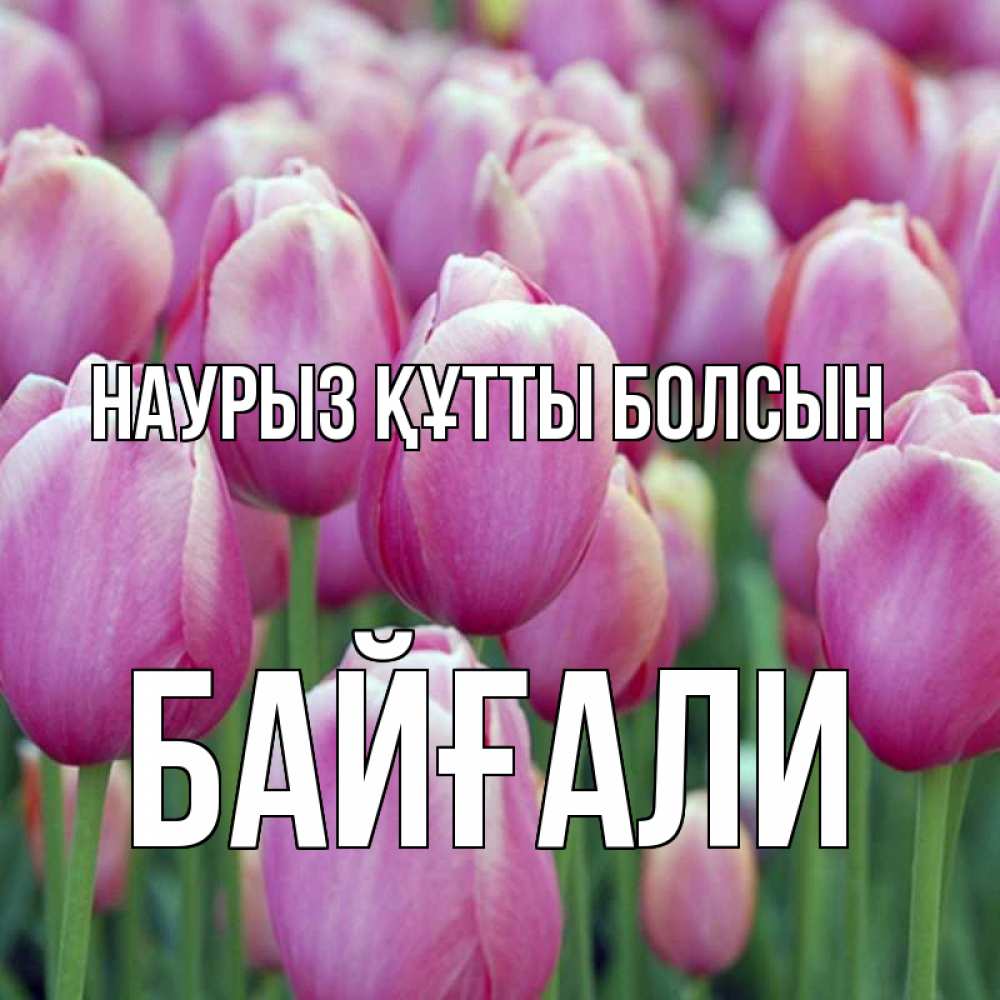 Күн сайын ашық хат с именем, Байғали Наурыз құтты болсын на наурыз  день 3 Онлайн тегін жүктеп алу тілектері бар керемет карта 