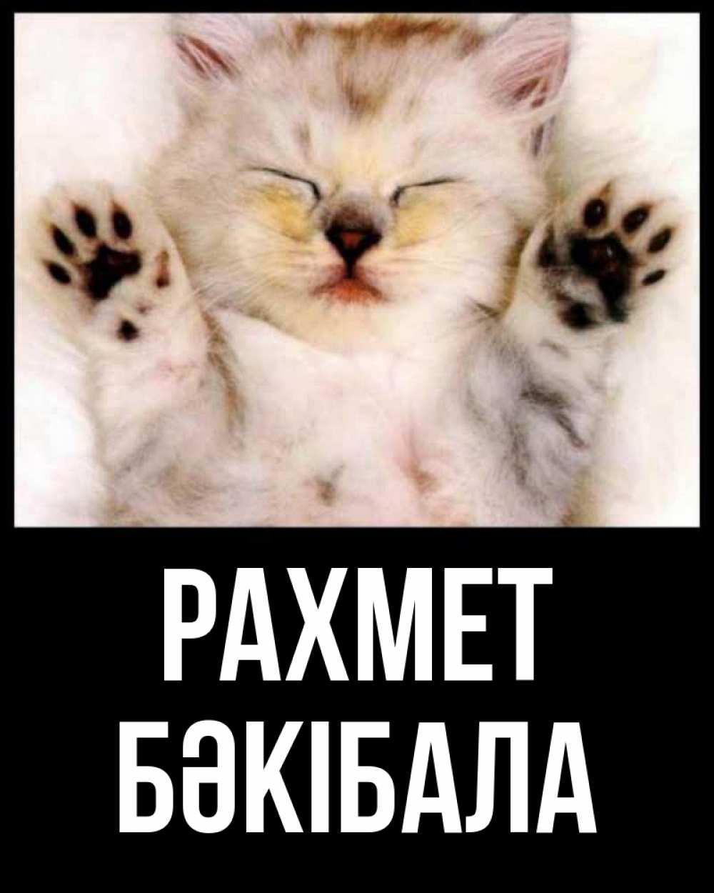 Күн сайын ашық хат с именем, БӘКІБАЛА рахмет маленький котенок Онлайн тегін жүктеп алу тілектері бар керемет карта 
