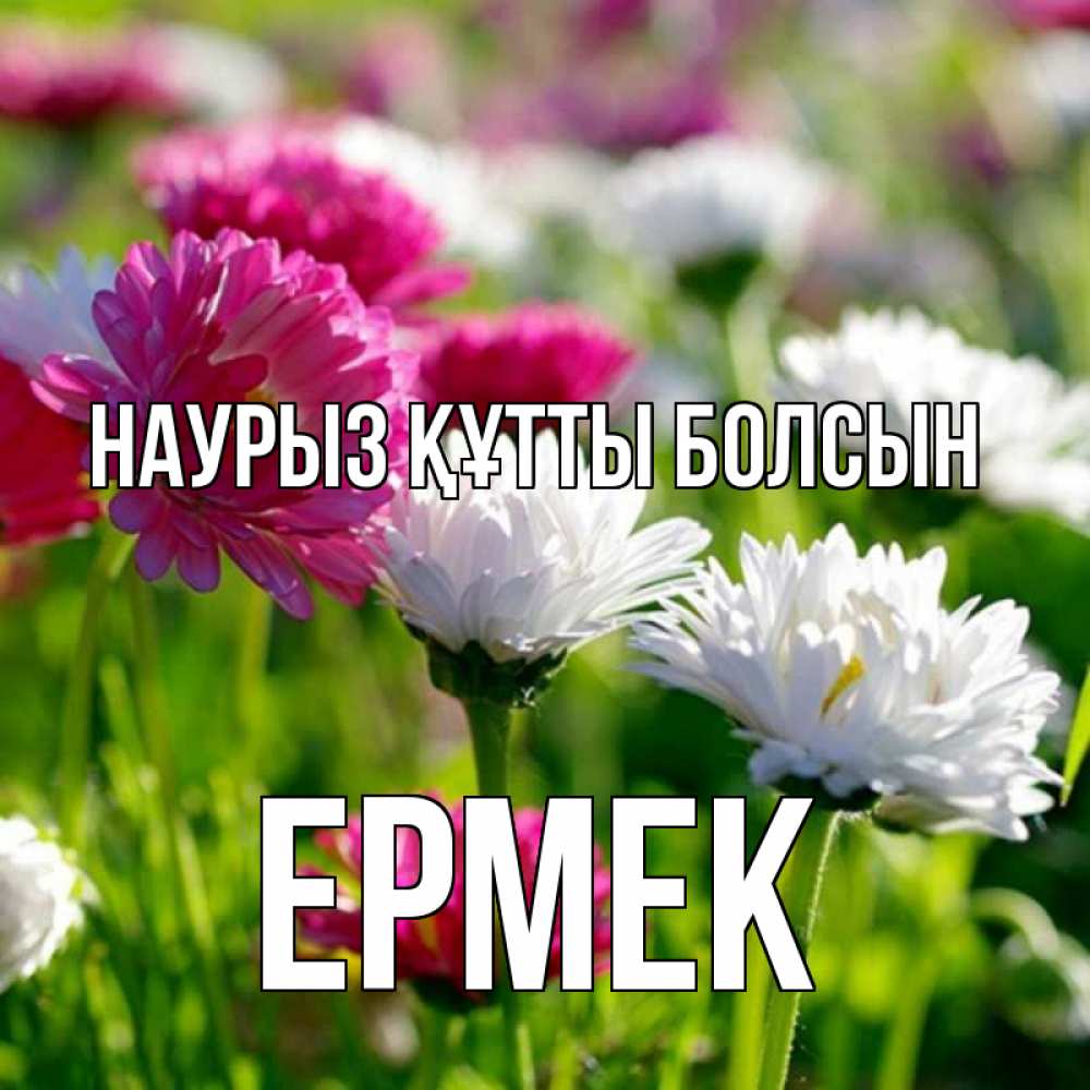 Күн сайын ашық хат с именем, Ермек Наурыз құтты болсын наурыз Онлайн тегін жүктеп алу тілектері бар керемет карта 