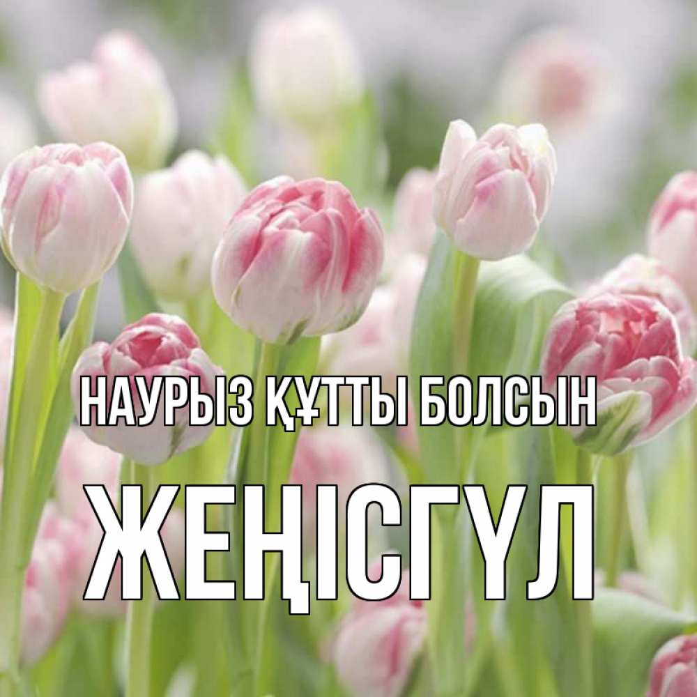 Күн сайын ашық хат с именем, ЖЕҢІСГҮЛ Наурыз құтты болсын цветы Онлайн тегін жүктеп алу тілектері бар керемет карта 