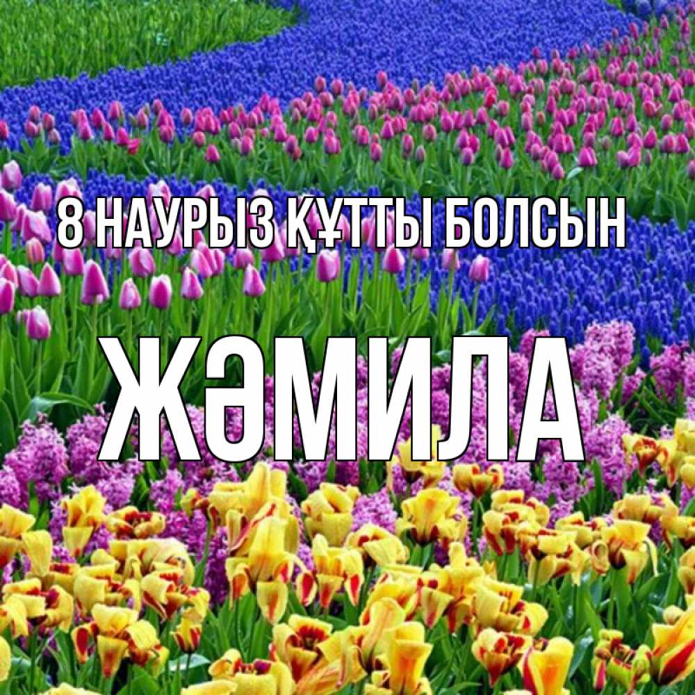 Күн сайын ашық хат с именем, ЖӘМИЛА 8 наурыз құтты болсын цветы Онлайн тегін жүктеп алу тілектері бар керемет карта 