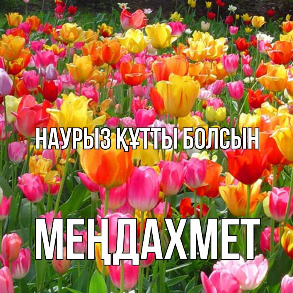 Күн сайын ашық хат с именем, МЕҢДАХМЕТ Наурыз құтты болсын на наурыз  ура ура Онлайн тегін жүктеп алу тілектері бар керемет карта 