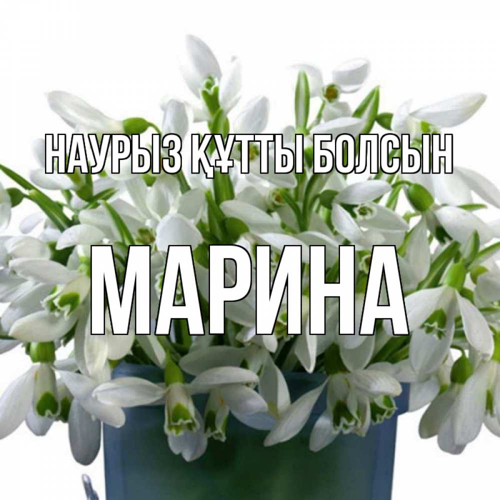 Күн сайын ашық хат с именем, Марина Наурыз құтты болсын цветы к наурызу Онлайн тегін жүктеп алу тілектері бар керемет карта 