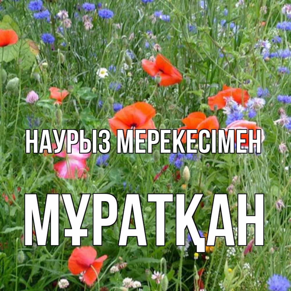 Күн сайын ашық хат с именем, Мұратқан Наурыз мерекесімен праздник весны наурыз супер открытка Онлайн тегін жүктеп алу тілектері бар керемет карта 