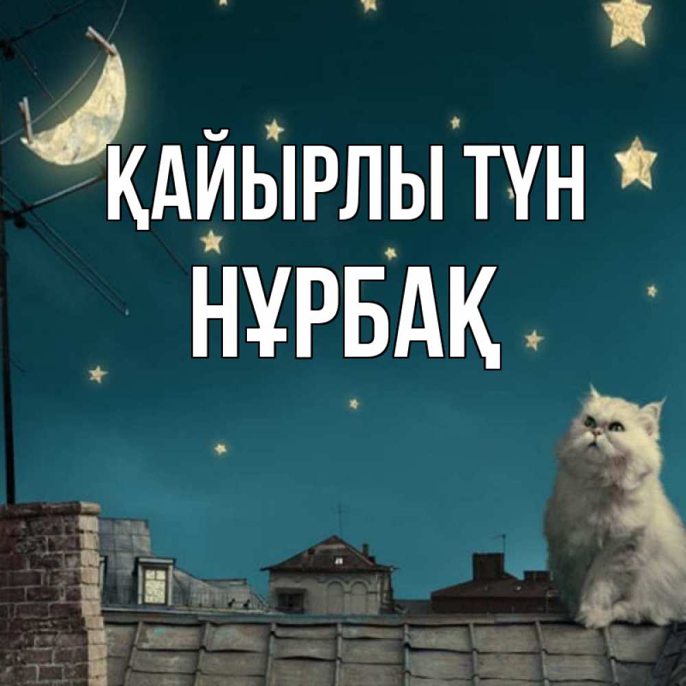 Күн сайын ашық хат с именем, НҰРБАҚ Қайырлы түн белый кот сидит на крыше Онлайн тегін жүктеп алу тілектері бар керемет карта 
