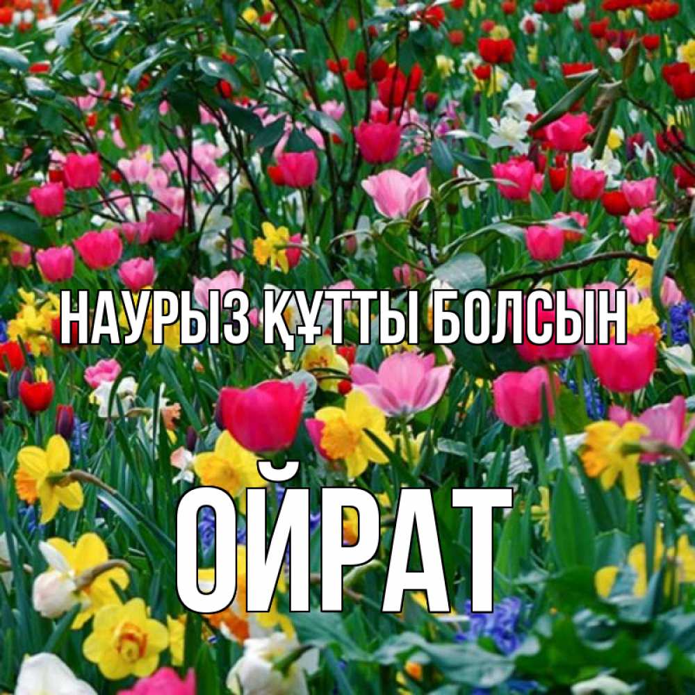 Күн сайын ашық хат с именем, ОЙРАТ Наурыз құтты болсын с наурызом поздравления для женщины Онлайн тегін жүктеп алу тілектері бар керемет карта 
