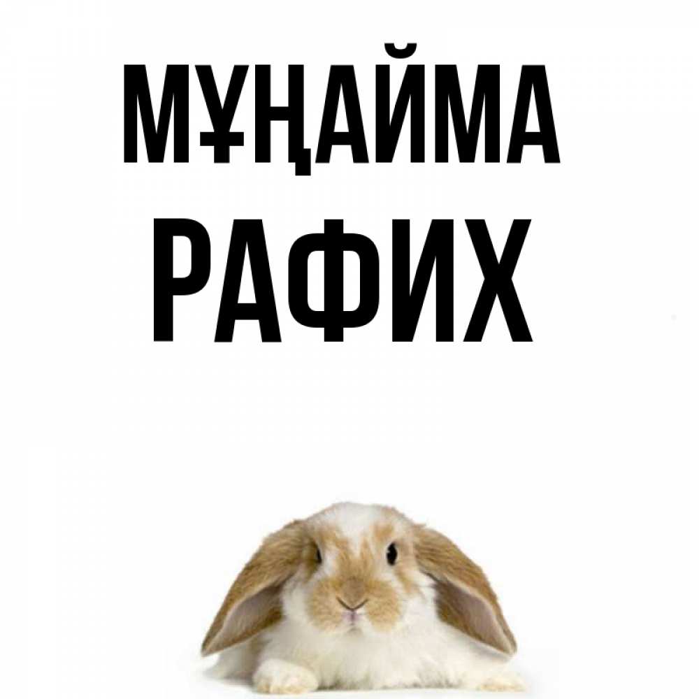 Күн сайын ашық хат с именем, РАФИХ Мұңайма коричнево белый заяц с большими ушками Онлайн тегін жүктеп алу тілектері бар керемет карта 