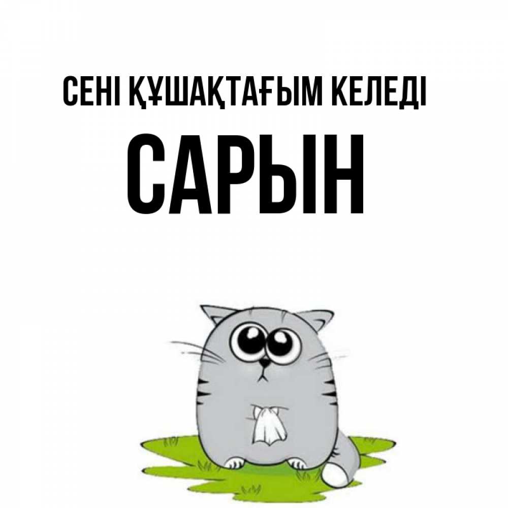 Күн сайын ашық хат с именем, САРЫН сені құшақтағым келеді котик теребит платочек сидя на травке Онлайн тегін жүктеп алу тілектері бар керемет карта 