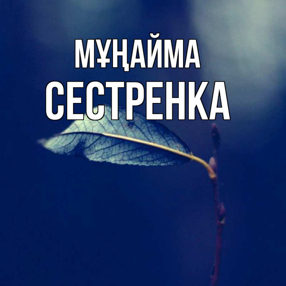 Күн сайын ашық хат с именем, Сестренка Мұңайма растение Онлайн тегін жүктеп алу тілектері бар керемет карта 