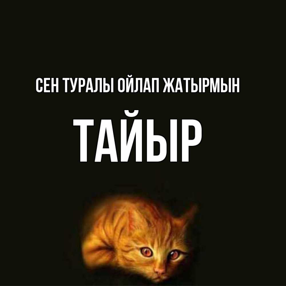 Күн сайын ашық хат с именем, ТАЙЫР Сен туралы ойлап жатырмын рыжий Онлайн тегін жүктеп алу тілектері бар керемет карта 