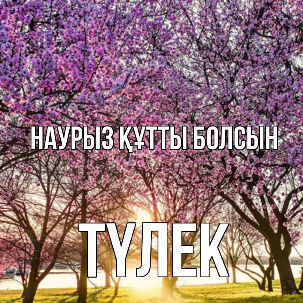 Күн сайын ашық хат с именем, ТҮЛЕК Наурыз құтты болсын наурыз Онлайн тегін жүктеп алу тілектері бар керемет карта 