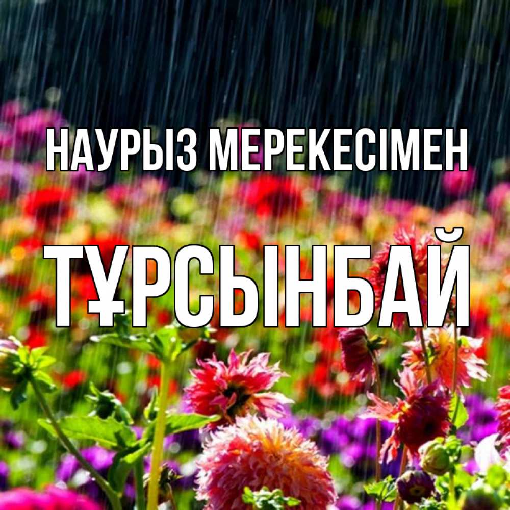 Күн сайын ашық хат с именем, ТҰРСЫНБАЙ Наурыз мерекесімен цветы под дождиком к международному женскому дню Онлайн тегін жүктеп алу тілектері бар керемет карта 