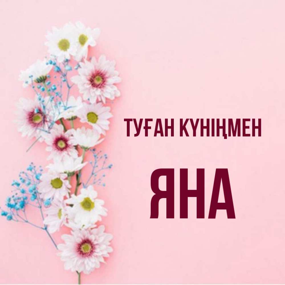 Күн сайын ашық хат с именем, Яна Туған күніңмен Родная моя с днем рождения тебя картинка с цветами белыми и голубыми Онлайн тегін жүктеп алу тілектері бар керемет карта 