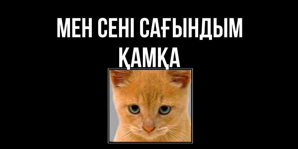 Күн сайын ашық хат с именем, ҚАМҚА Мен сені сағындым открытки рыжий котенок скучает по тебе Онлайн тегін жүктеп алу тілектері бар керемет карта 