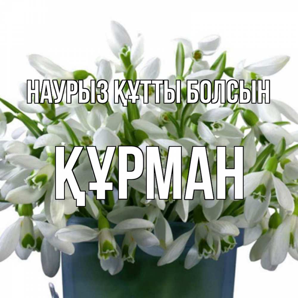 Күн сайын ашық хат с именем, ҚҰРМАН Наурыз құтты болсын цветы к наурызу Онлайн тегін жүктеп алу тілектері бар керемет карта 