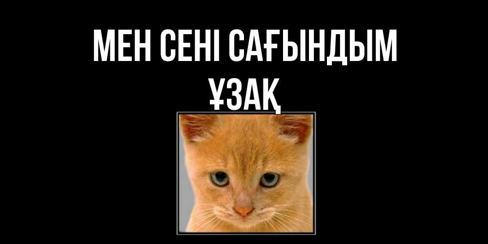 Күн сайын ашық хат с именем, ҰЗАҚ Мен сені сағындым открытки рыжий котенок скучает по тебе Онлайн тегін жүктеп алу тілектері бар керемет карта 