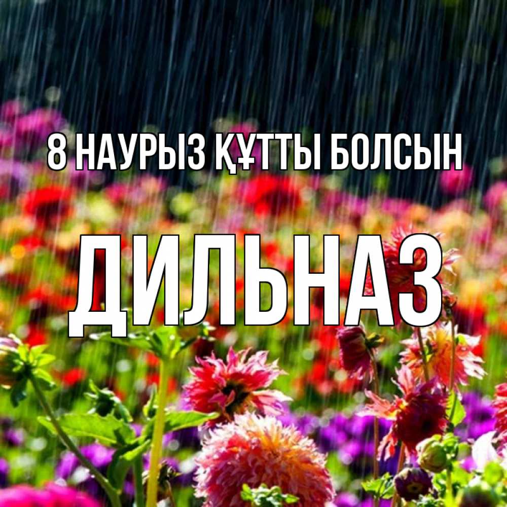 Күн сайын ашық хат с именем, ДИЛЬНАЗ 8 наурыз құтты болсын цветы под дождиком к международному женскому дню Онлайн тегін жүктеп алу тілектері бар керемет карта 