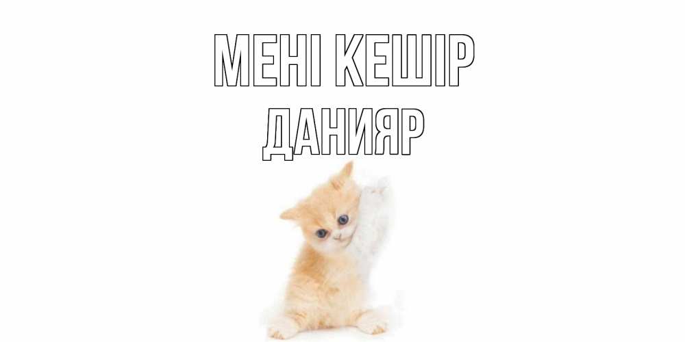 Күн сайын ашық хат с именем, Данияр Мені кешір кот Онлайн тегін жүктеп алу тілектері бар керемет карта 