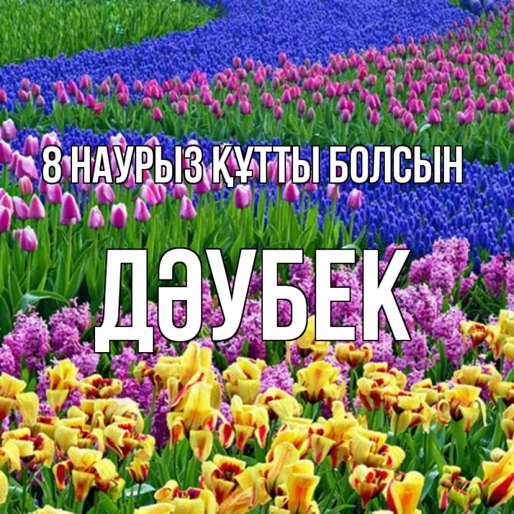 Күн сайын ашық хат с именем, Дәубек 8 наурыз құтты болсын цветы Онлайн тегін жүктеп алу тілектері бар керемет карта 