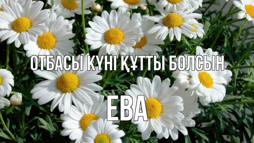 Күн сайын ашық хат с именем, Ева отбасы күні құтты болсын с днем семьи Онлайн тегін жүктеп алу тілектері бар керемет карта 
