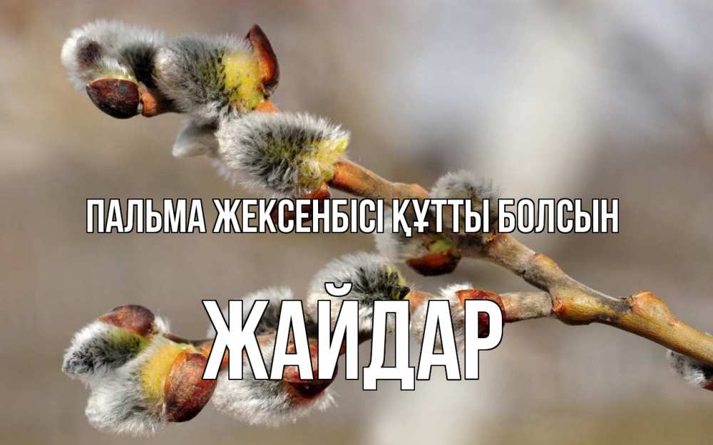 Күн сайын ашық хат с именем, Жайдар Пальма жексенбісі құтты болсын Верба Онлайн тегін жүктеп алу тілектері бар керемет карта 