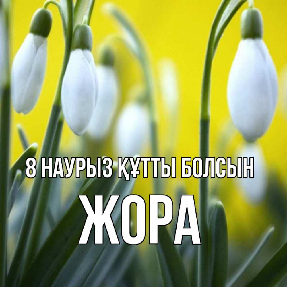 Күн сайын ашық хат с именем, Жора 8 наурыз құтты болсын весенние цветы Онлайн тегін жүктеп алу тілектері бар керемет карта 
