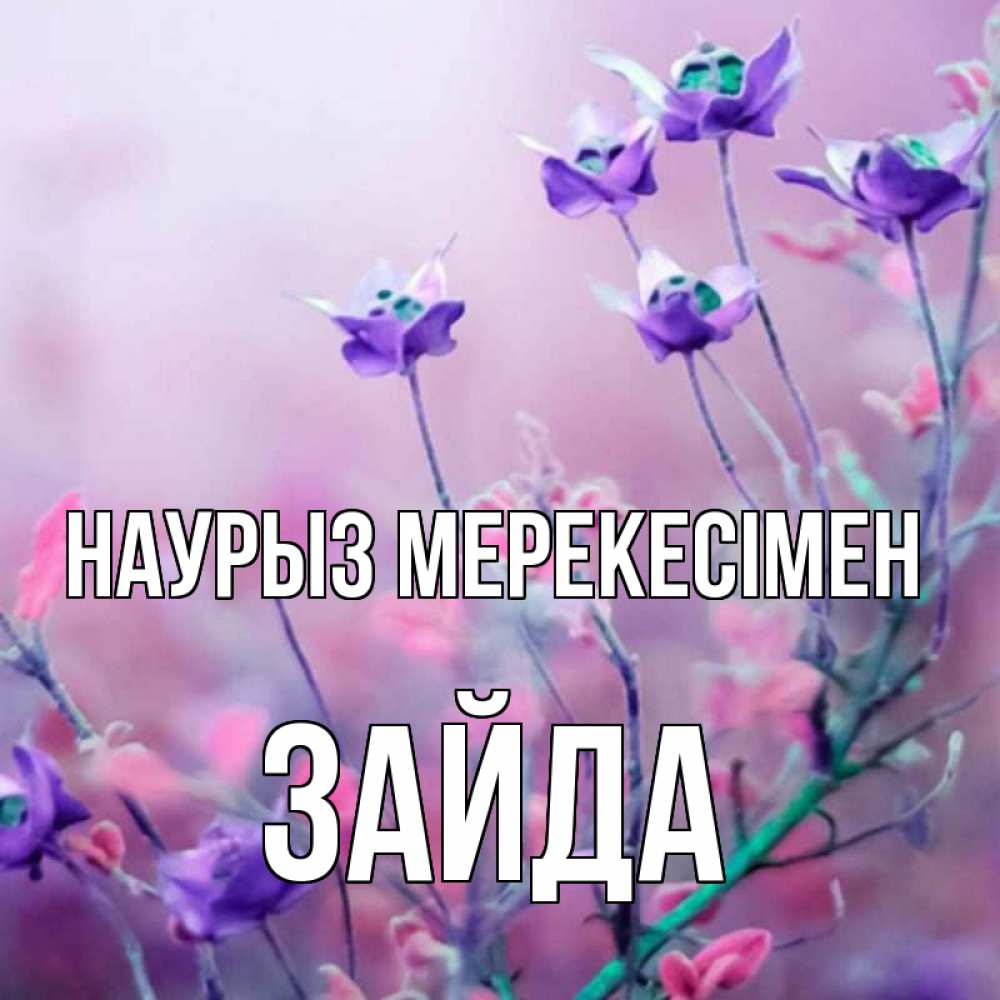 Күн сайын ашық хат с именем, ЗАЙДА Наурыз мерекесімен международный женский день 2 Онлайн тегін жүктеп алу тілектері бар керемет карта 