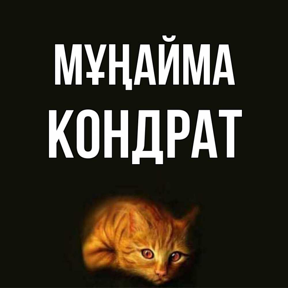 Күн сайын ашық хат с именем, Кондрат Мұңайма лежащий кот в темноте Онлайн тегін жүктеп алу тілектері бар керемет карта 