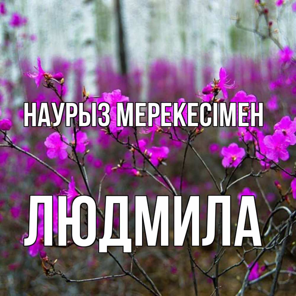 Күн сайын ашық хат с именем, Людмила Наурыз мерекесімен дикие цветы Онлайн тегін жүктеп алу тілектері бар керемет карта 