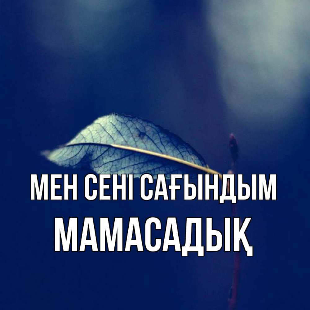 Күн сайын ашық хат с именем, МАМАСАДЫҚ Мен сені сағындым одна ветка 1 Онлайн тегін жүктеп алу тілектері бар керемет карта 