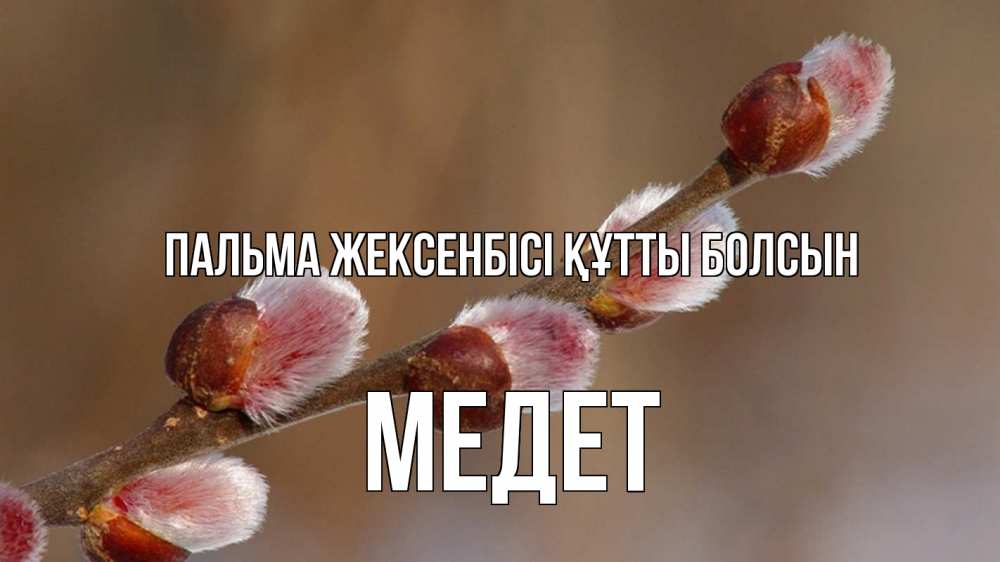 Күн сайын ашық хат с именем, МЕДЕТ Пальма жексенбісі құтты болсын верба Онлайн тегін жүктеп алу тілектері бар керемет карта 
