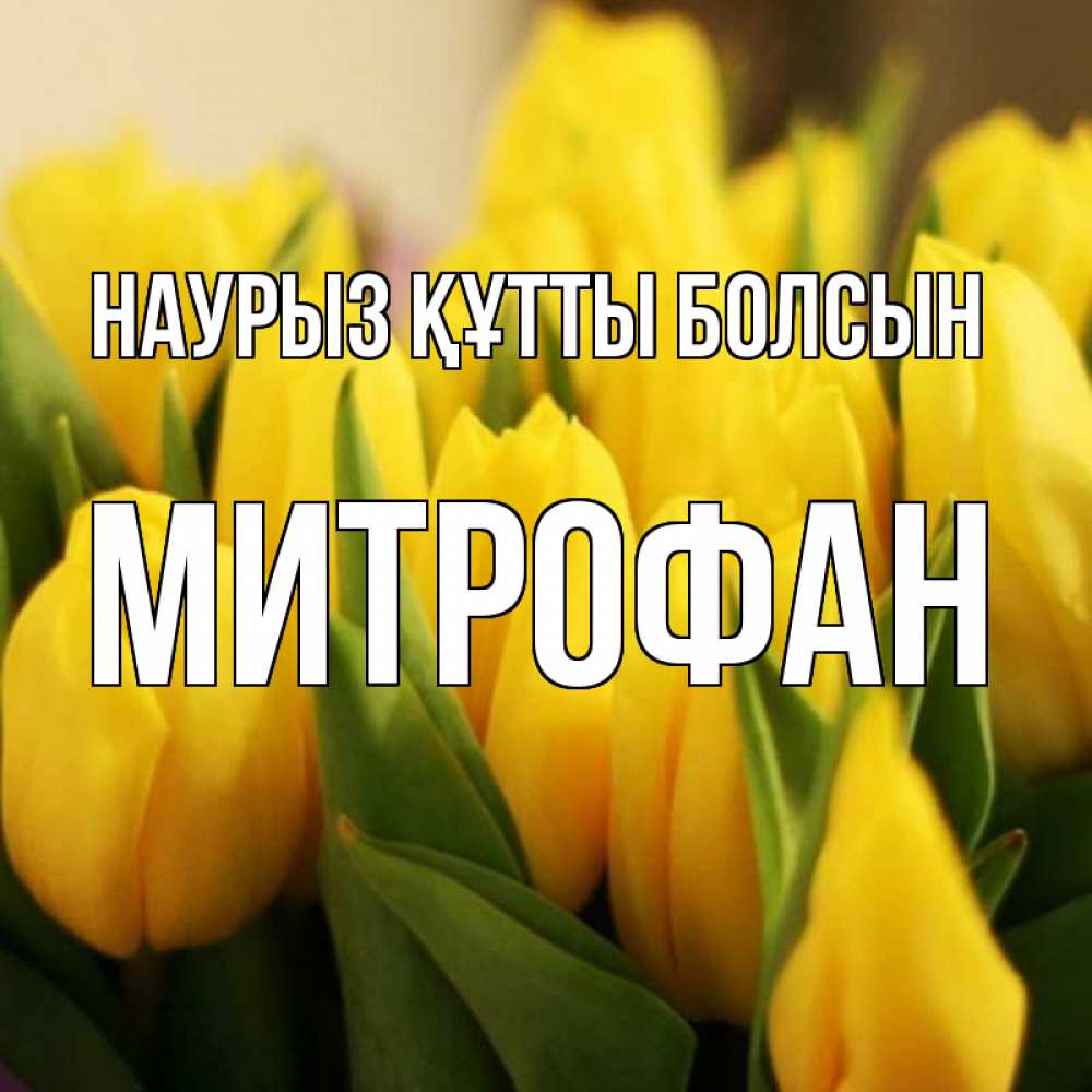 Күн сайын ашық хат с именем, Митрофан Наурыз құтты болсын цветы Онлайн тегін жүктеп алу тілектері бар керемет карта 