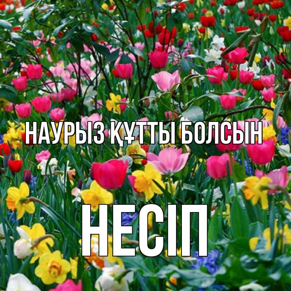Күн сайын ашық хат с именем, НЕСІП Наурыз құтты болсын с наурызом поздравления для женщины Онлайн тегін жүктеп алу тілектері бар керемет карта 