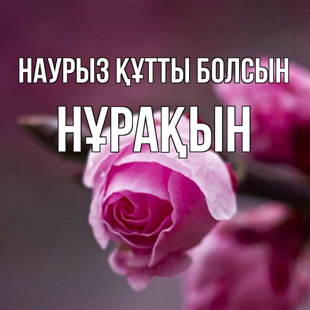 Күн сайын ашық хат с именем, НҰРАҚЫН Наурыз құтты болсын весна Онлайн тегін жүктеп алу тілектері бар керемет карта 