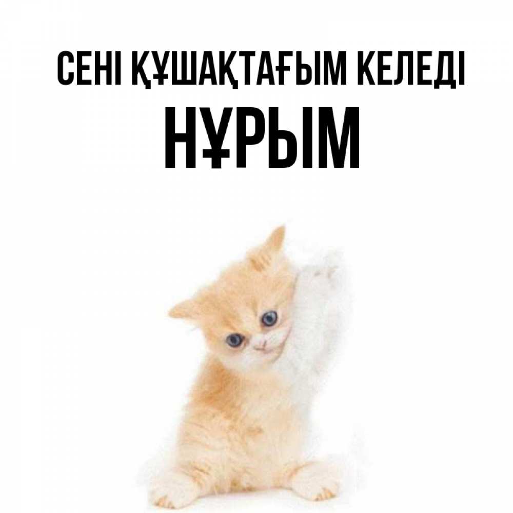 Күн сайын ашық хат с именем, Нұрым сені құшақтағым келеді я хочу очень скорее обнимаешек Онлайн тегін жүктеп алу тілектері бар керемет карта 