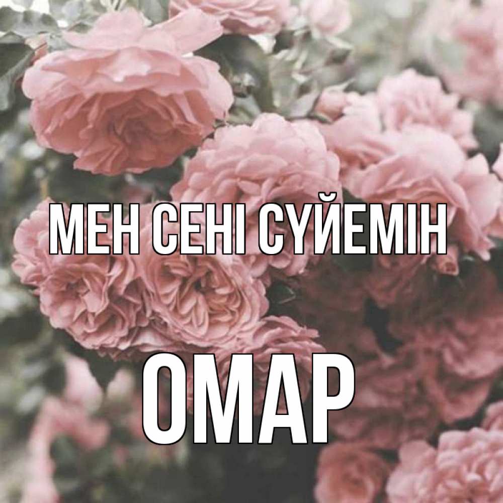 Күн сайын ашық хат с именем, ОМАР Мен сені сүйемін розы 3 Онлайн тегін жүктеп алу тілектері бар керемет карта 