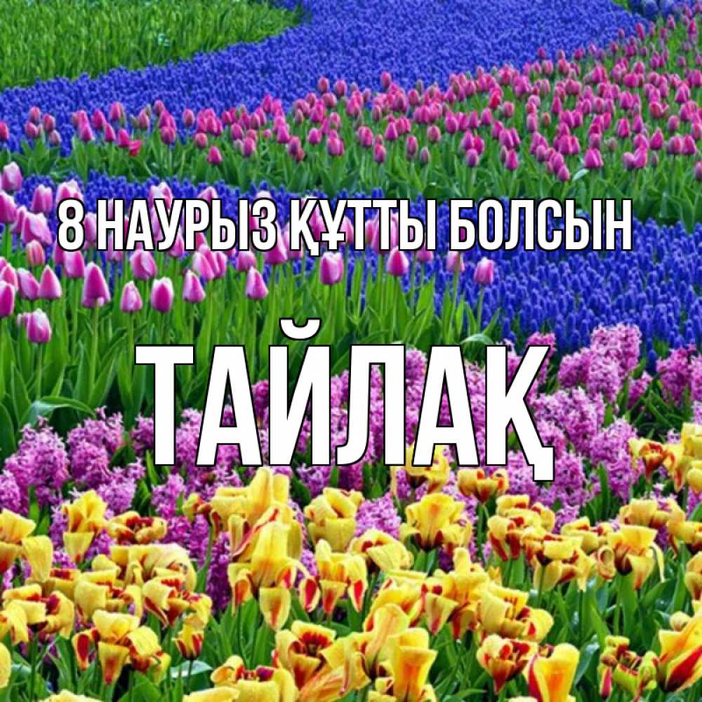Күн сайын ашық хат с именем, ТАЙЛАҚ 8 наурыз құтты болсын цветы Онлайн тегін жүктеп алу тілектері бар керемет карта 