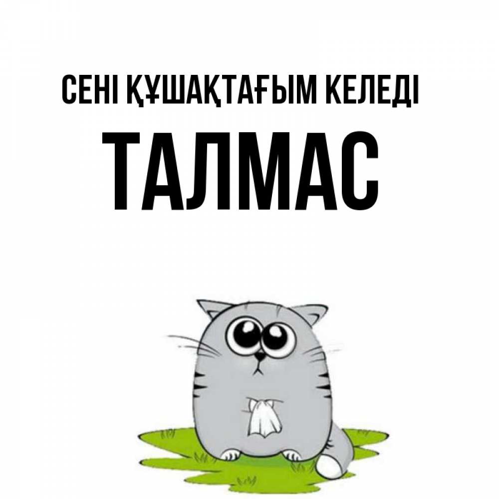 Күн сайын ашық хат с именем, ТАЛМАС сені құшақтағым келеді котик теребит платочек сидя на травке Онлайн тегін жүктеп алу тілектері бар керемет карта 
