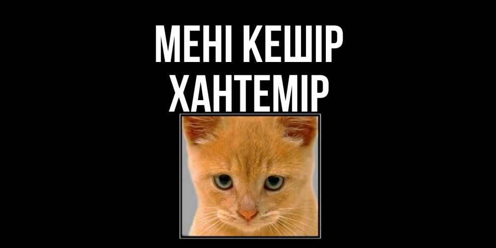 Күн сайын ашық хат с именем, ХАНТЕМІР Мені кешір рыжий грустный кот просит прощения Онлайн тегін жүктеп алу тілектері бар керемет карта 